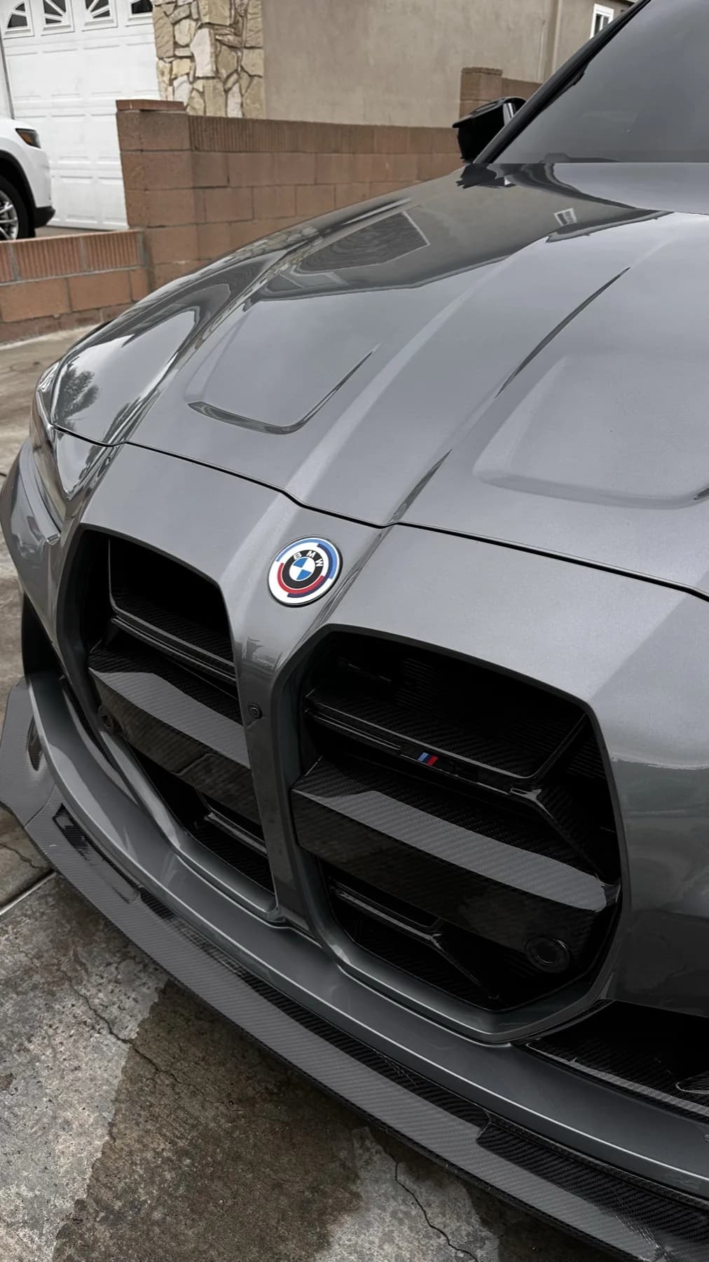Detailed BMW paint and front grille
